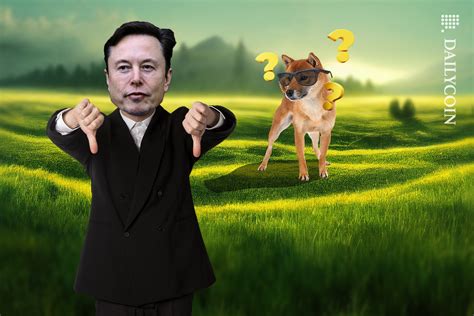 Musk Denies Owning Dogecoin in $260B DOGE Pyramid Case - DailyCoin
