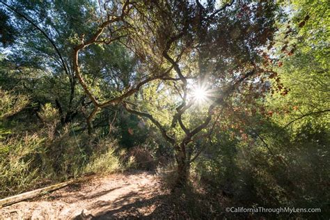 Westwood Hills Park: Hiking in Downtown Napa - California Through My Lens