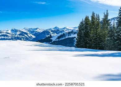 Hahnenkamm: Over 762 Royalty-Free Licensable Stock Photos | Shutterstock