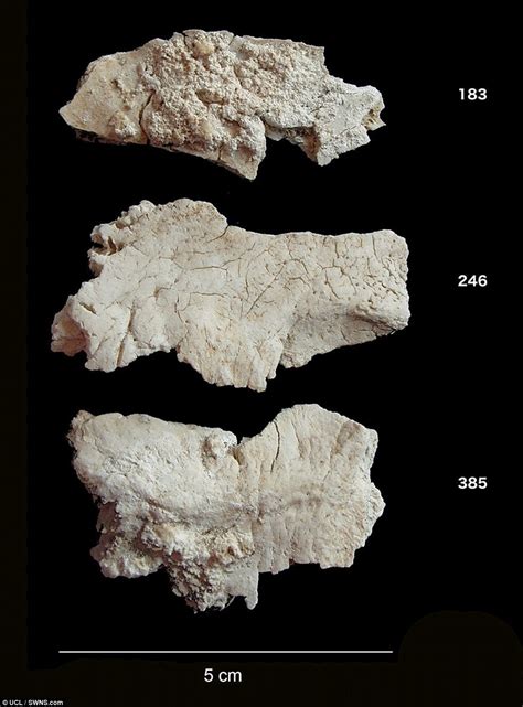 Origins of people who built Stonehenge 5,000 years ago revealed - Big ...