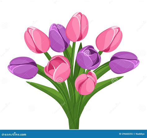 Bouquet of Pink and Purple Tulips. Vector. Stock Vector - Illustration of element, arrangement ...