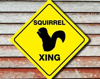 Funny squirrel signs | Etsy