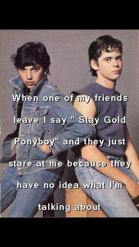 Stay golden pony boy | The outsiders, The outsiders imagines, Stay gold ...