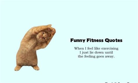 80 Funny Fitness Quotes and Funny Exercise Gym Memes – Daily Funny Quotes