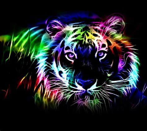 Tiger Hd Wallpaper