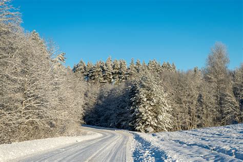 Beautiful Winter Cold Landscape In Blue Tones Frost On Scenic Tall Grass Copse Winter Frosty Day ...