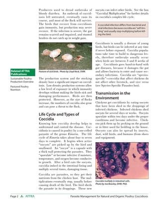 Parasite Management for Natural and Organic Poultry: Coccidiosis | PDF