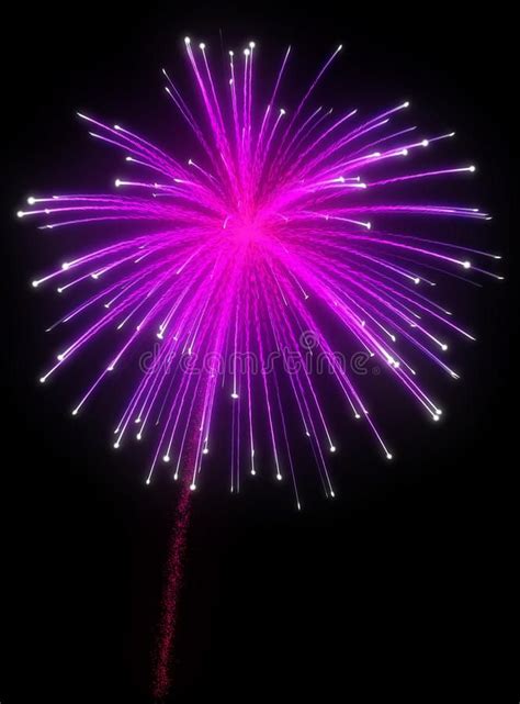 Festive Purple Fireworks at Night Stock Illustration - Illustration of colorful, holiday ...