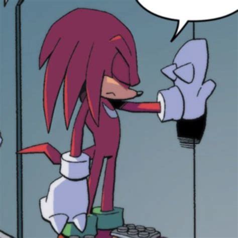 Knuckles 🥊 The IDW Comic Sonic the hedgehog icons sonic icons in 2022 | Echidna, Sonic, Sonic ...