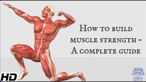 How To Build Muscle Strength- A Complete Guide - YouTube