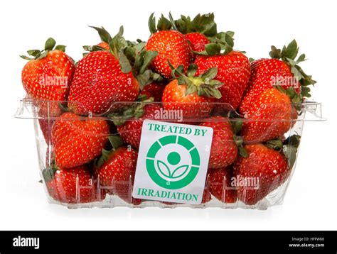 31 Food Label For Strawberries - Labels Design Ideas 2020