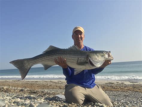 my largest striper - Coastal Angler & The Angler Magazine