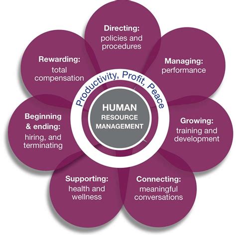 HR: Human Resources – Diane Wooden Human Resource Management