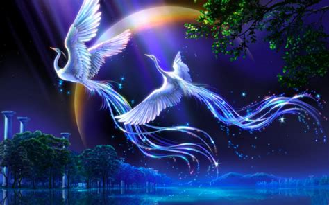 Free download Bird of Paradise HD Wallpapers Live HD Wallpaper HQ Pictures Images [1440x900] for ...