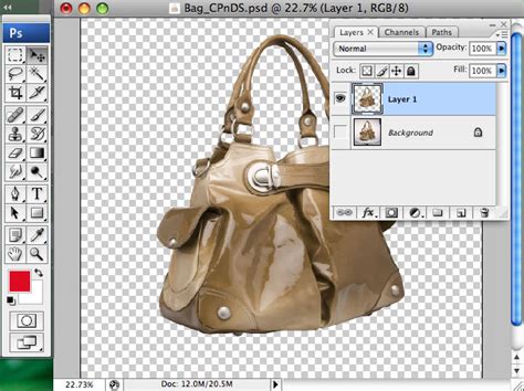 Photoshop clipping path-How to Use Pen Tool to Clip an Image | ClippingPhotoshop.com