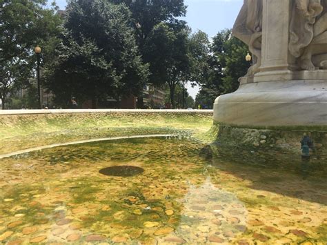 Water in Dupont Circle fountain turns red - WTOP News