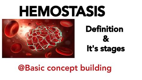 Hemostasis || stages of hemostasis || - YouTube