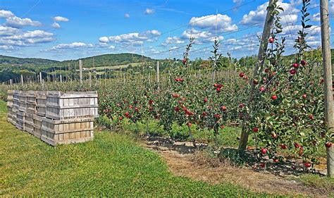 Historic Hudson Valley Apple Orchard Up For Sale