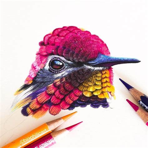 Realistic Animal Pencil Drawings | Prismacolor art, Pencil drawings of animals, Colored pencil ...