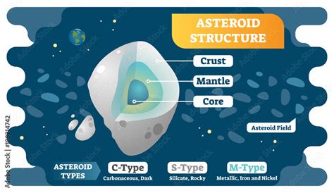 Asteroid structure cross section and asteroid types vector illustration ...