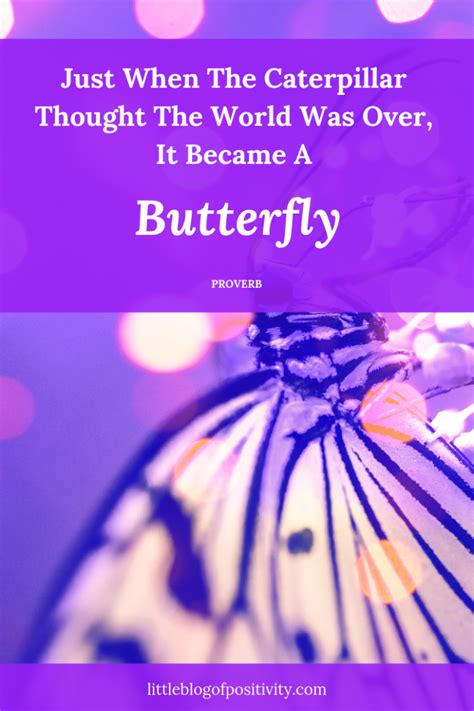 41 Inspirational Quotes To Remind You Life Is Beautiful