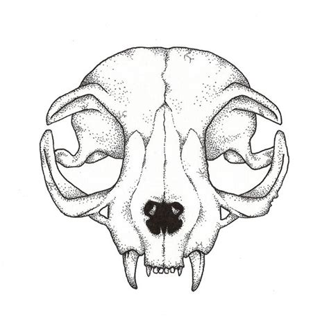 cat skull drawing | Cat skull tattoo, Animal skull drawing, Skull drawing