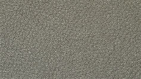 Free photo: Cow leather texture - Animal, Brown, Cow - Free Download ...