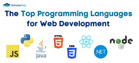 The Top Programming Languages for Web Development