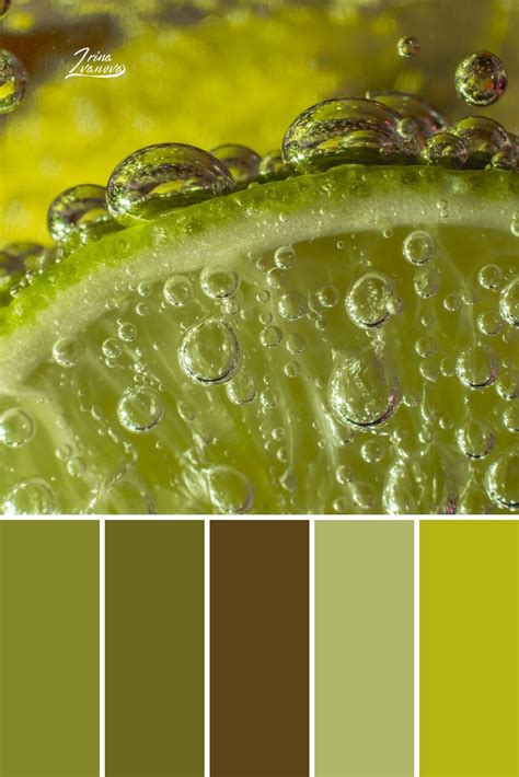 Пин от пользователя Amanda Miller на доске Coloring books | Оттенки зеленого, Цветовые палитры ...