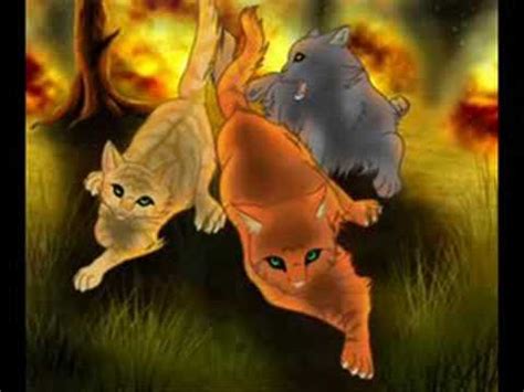 Firepaw-Spottedleaf - YouTube