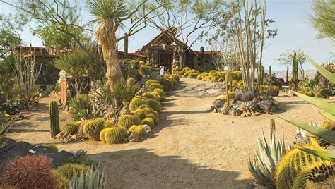 Desert Landscaping: Creating Stunning Arid Gardens