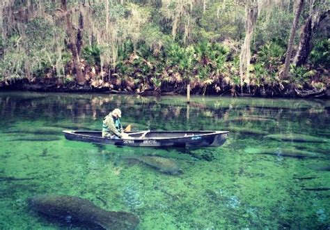 Blue Spring State Park | Orange City, FL 32763