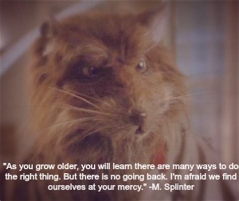 Master Splinter Quotes. QuotesGram