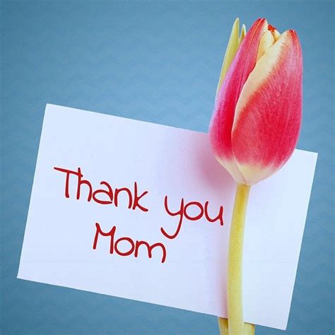 Thank You Mom Pictures, Photos, and Images for Facebook, Tumblr, Pinterest, and Twitter