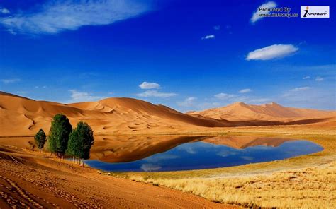 🔥 [40+] Desert Oasis Wallpapers | WallpaperSafari