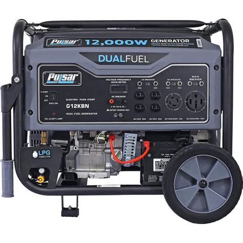 Pulsar G12KBN-SG Heavy Duty Portable Dual Fuel Generator, 12,000 Watt ...