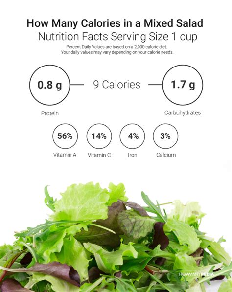 How Many Calories in a Salad - Howmanypedia