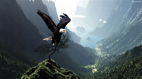 30++ Wallpaper Anime Eagle