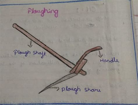 diagram of wooden plough with lable - Brainly.in