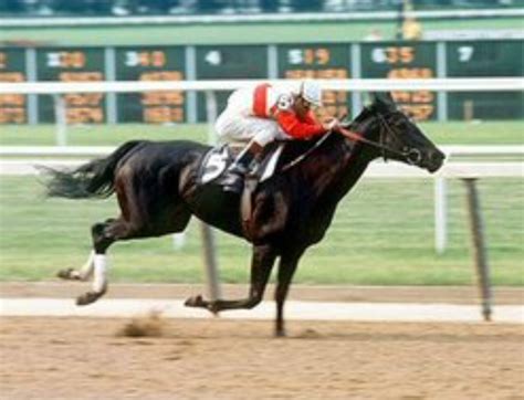 “All 1’s” Ruffian, The Real Story - Past The Wire