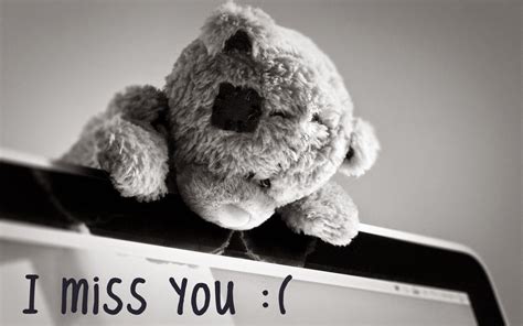 I Miss You Lovely Teddy Bear HD Wallpaper | Best Love HD Wallpapers