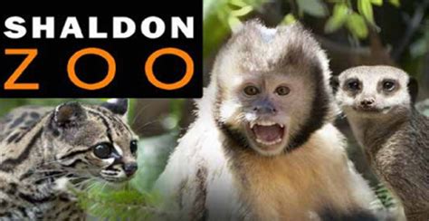 Shaldon Zoo - Open - Whats On South West