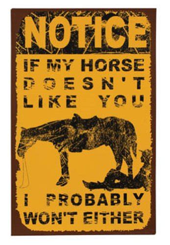 6 Funny Horse Barn Signs To Tickle Your Funny Bone