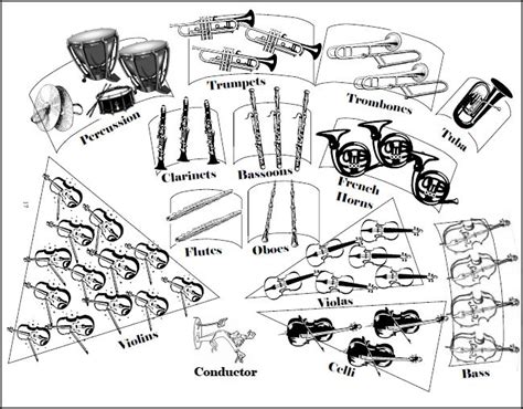 Sections Of The Orchestra