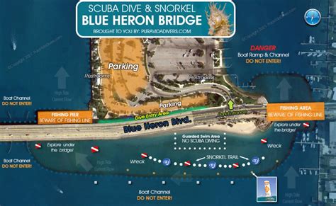 Dive Blue Heron Bridge - Phil Foster Park Pura Vida Divers : Discover ...