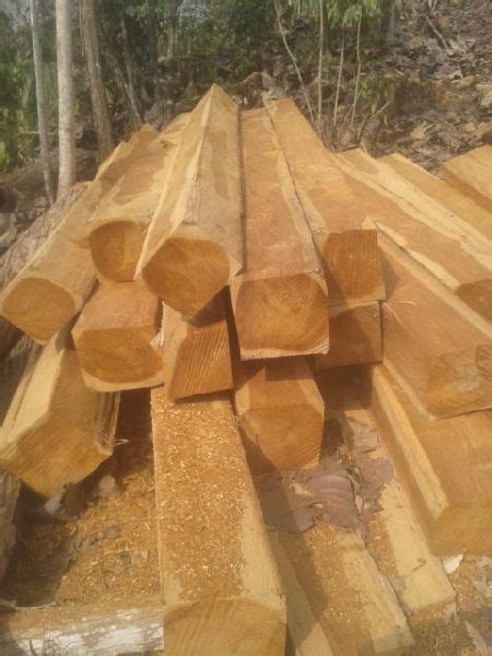 Teak Lumber by Deepsikha Enterprises, Ghana Teak Wood, INR 0 / ( Approx ...