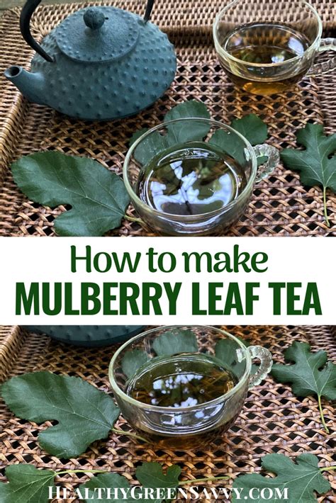 Mulberry Tree Leaf Tea ~ Identification, Benefits & Recipe | Recipe in 2021 | How to make tea ...