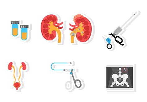 Flat Urology Icon 153256 Vector Art at Vecteezy