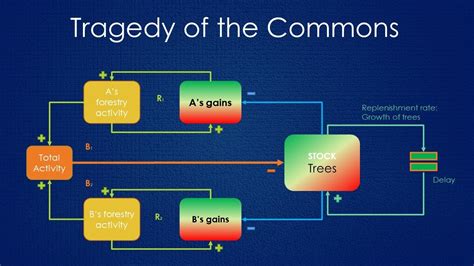 Tragedy Of The Commons Graph