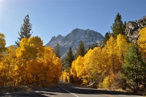 June Lake Loop California - Fall Colors - Photorator